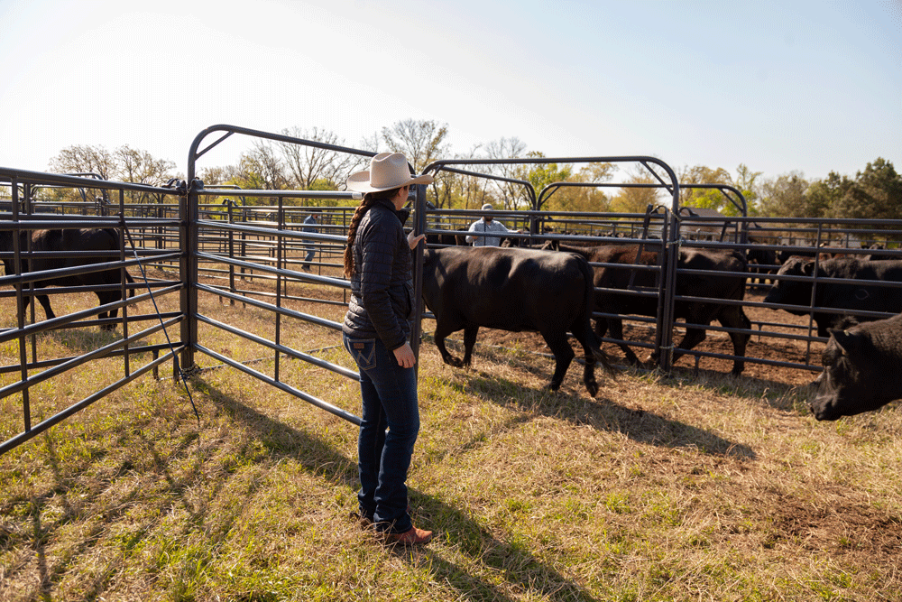 Priefert Premier Open Sweep Corral IMG 0516.png